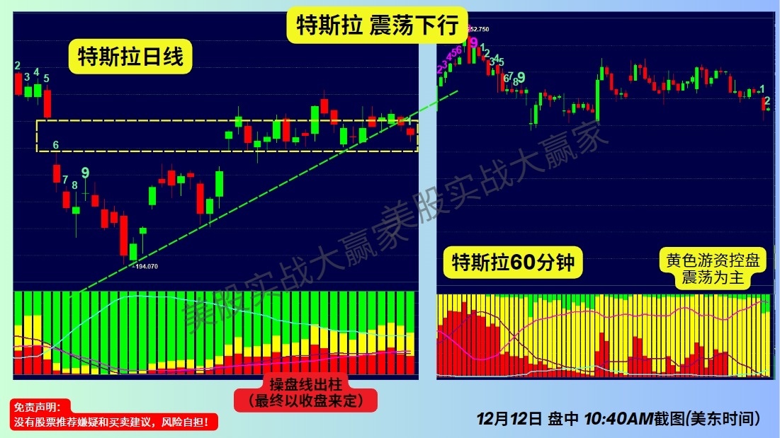 $特斯拉 (TSLA.US)$ 黄色代表着漂浮的筹码。