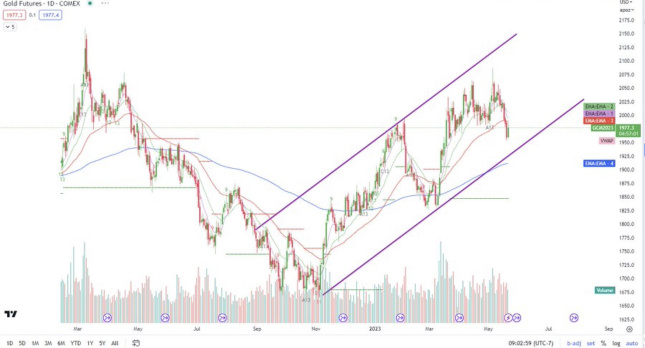 Bullish on gold and bitcoin.