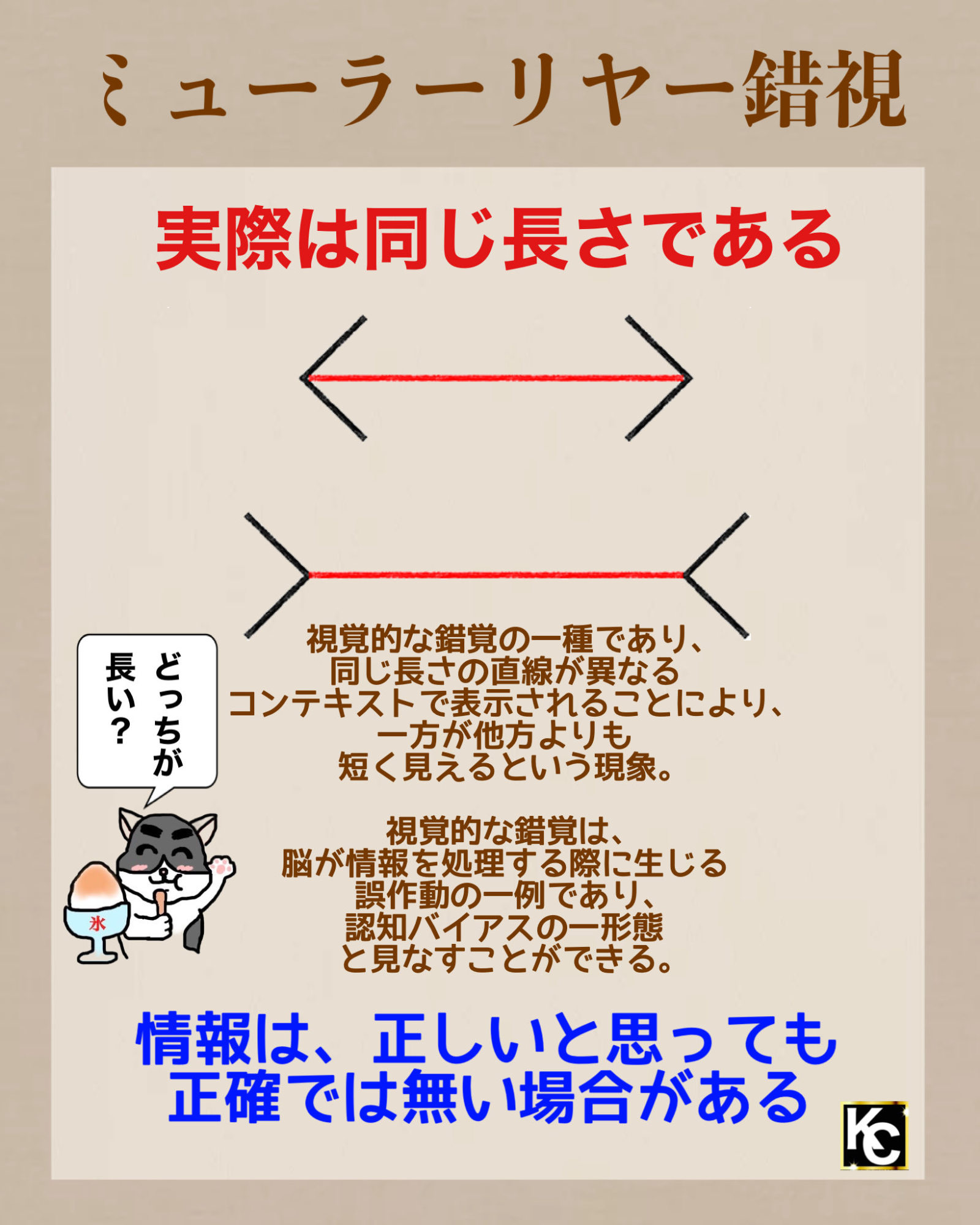 ✔︎ミューラーリヤー錯視 ・視覚的な錯覚の一種 同じ長さの直線が異なるコンテキストで表示されることによって、一方が他方... -  moomooコミュニティ