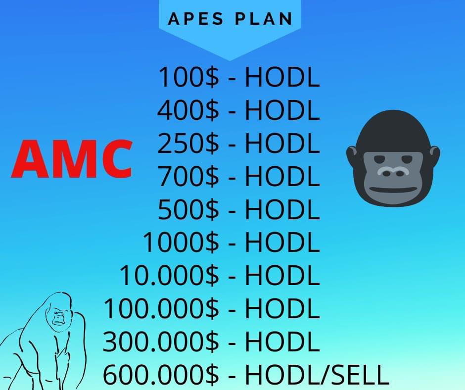 HODL 🦍