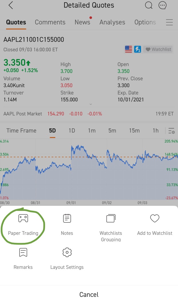 How to Paper Trade Options