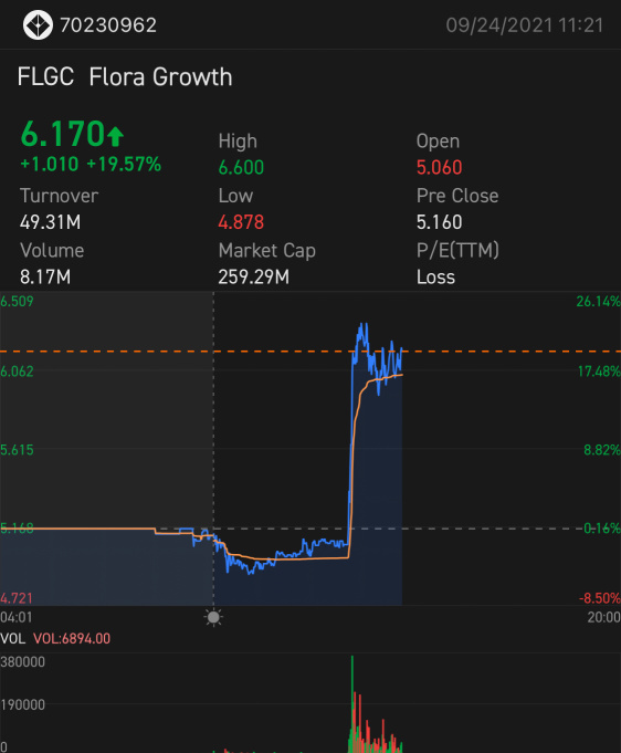 🚨FLGC🚨 今日観察中