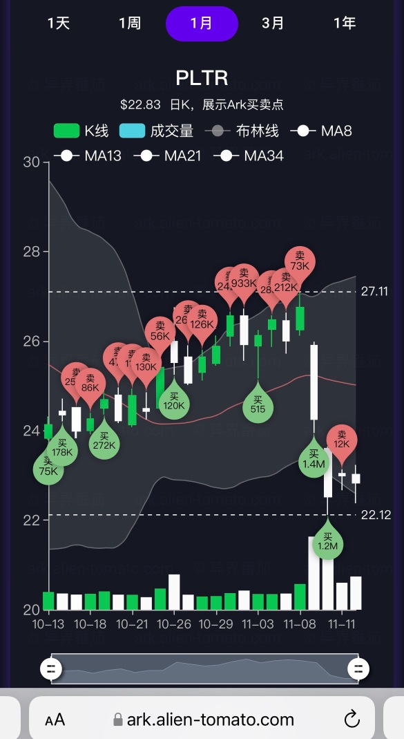 PLTR 木頭姐 還抄底嗎？