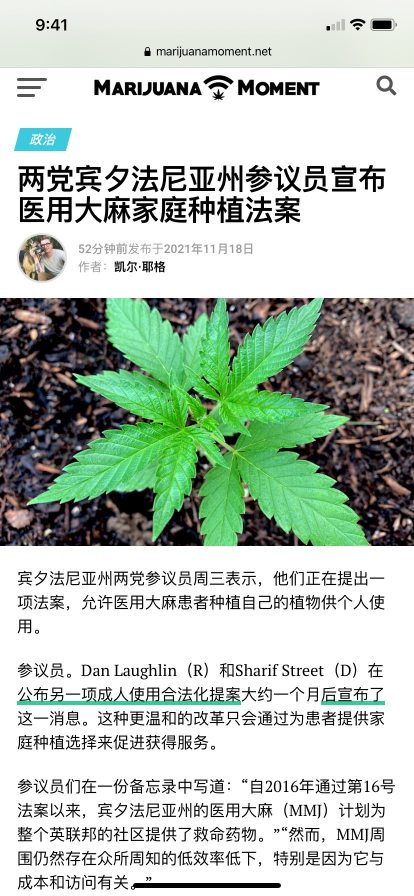 大麻合法化 已經走上正軌