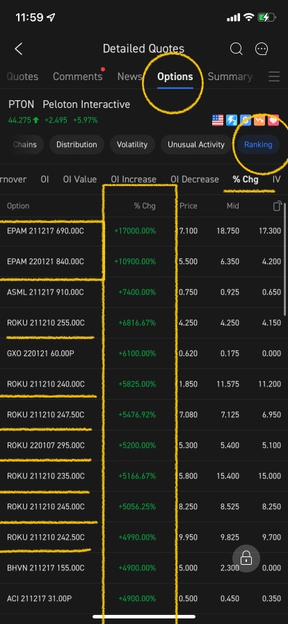 Biggest Increases Today (Options)