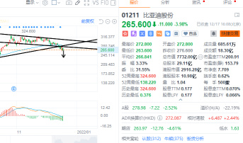 12.17 closing comments: one new low after another, what to do?