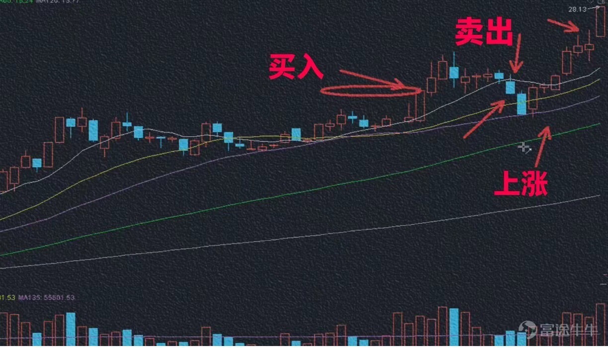 想知道如何把握股票的买卖点吗？ - moomoo 社区