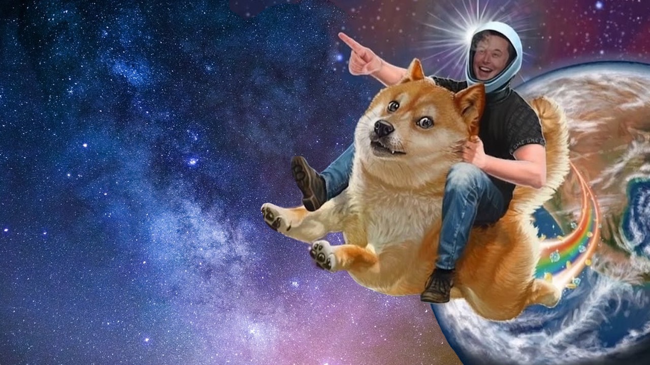 $Dogecoin (DOGE.CC)$