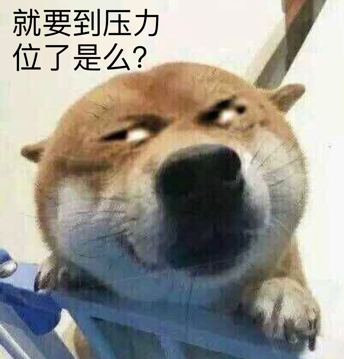 市场反弹后，到压力位了吗？