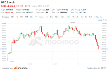 Bitcoin Crashes Below $80K: Where Is the Next Support Level?