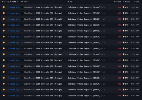 Bitcoin Crashes Below $80K: Where Is the Next Support Level?