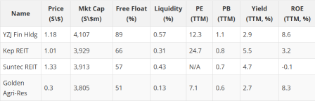 Discovering Growth Beyond STI: What the Mini STI Index Means for You