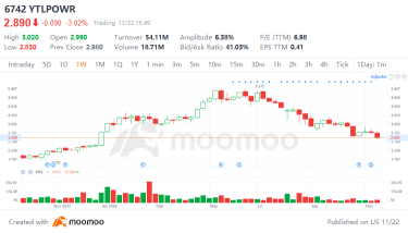 What Investors Need to Know Before YTLPOWR's Upcoming Earnings Report?