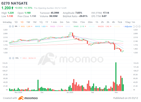 NATGATE's Rollercoaster: Is the Current Price the Floor or a Trap?