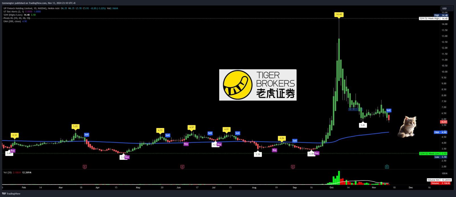 $向上融科 (TIGR.US)$ 从老虎变成小猫再次。