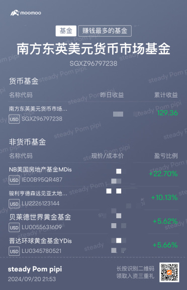 USD money market fund