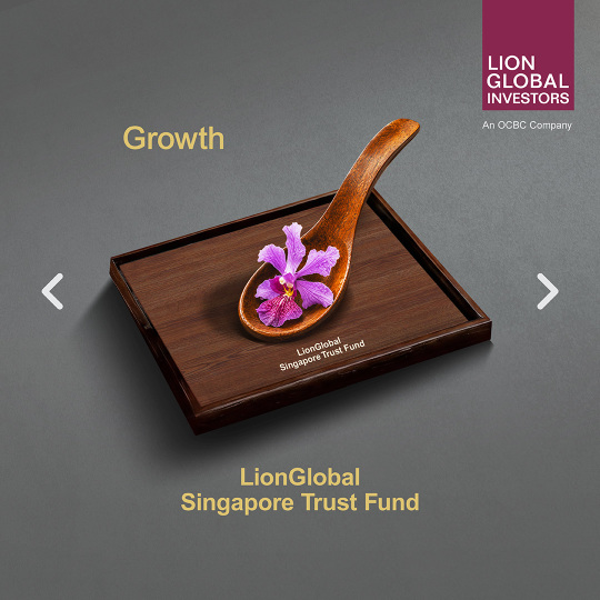 LionGlobal Signature Singapore Suite: Different Investment pathways for different needs