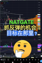 NATGATE 抓反弹的机会? 目标在那里?