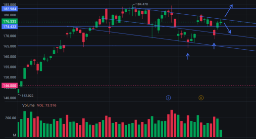 看涨或看跌的冷静理由 🤔