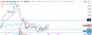 PANW Options Analysis