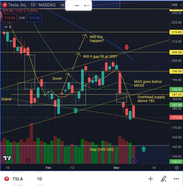 未能突破 209 并保持在 200 以上 ==> 看跌 TSLA？