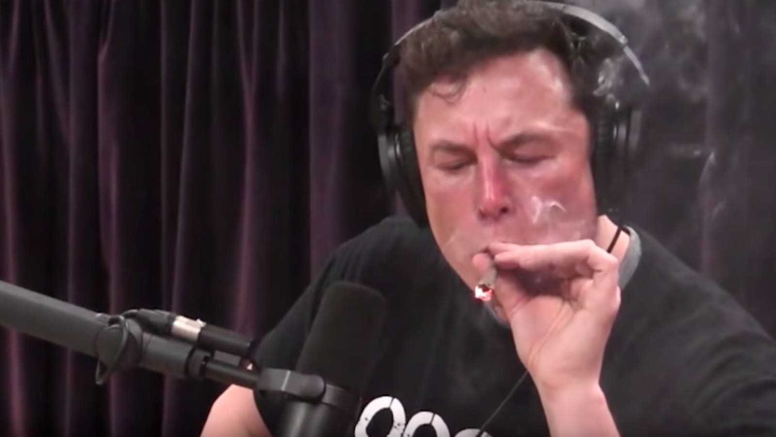 hello elon??