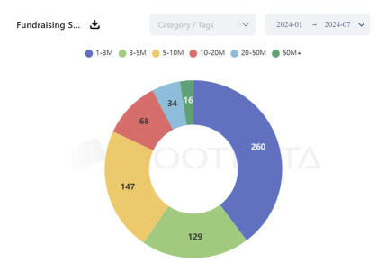 Review of 2024 crypto financing situation and potential track expectations