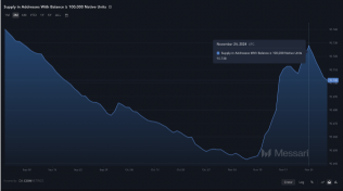 XRP Price Soars to 43-Month High, But Is the Rally Over?