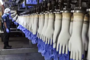 ❗Top Glove's Perspective: Top Glove, are expected to maintain a "relatively competitive edge,"❗