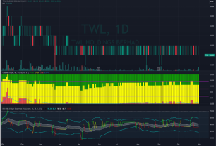 技术审查（30/10/2024）-TWL控股有限公司