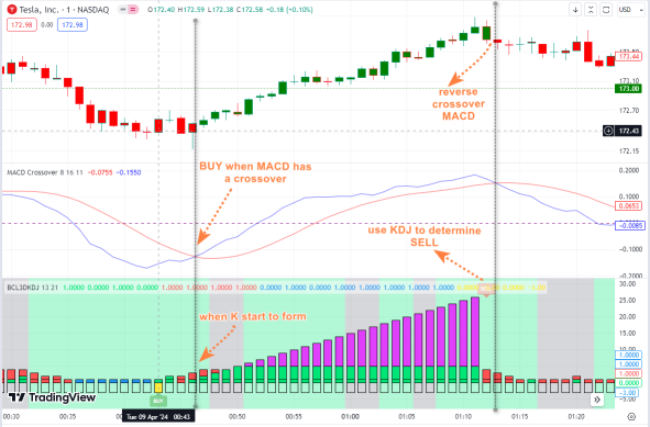 使用 MACD 和 KDJ 交易 TSLA