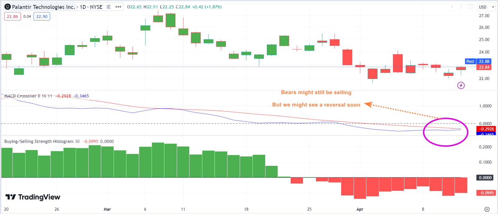 Key For Long Term Buy Is Palantir Sustained and Growing Prof... - moomoo  Community