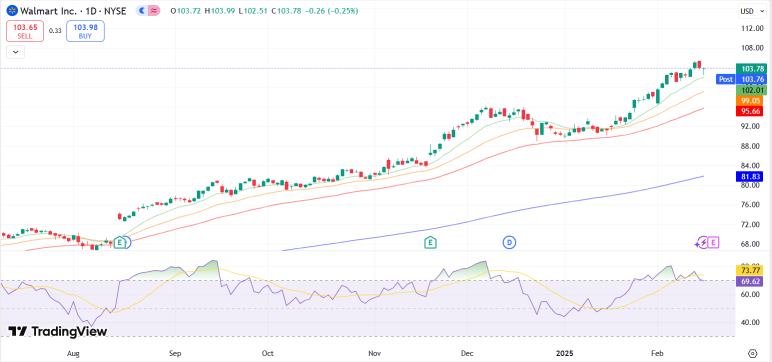 Walmart (WMT) Holiday Performance and E-Commerce Growth To Watch