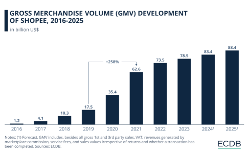 Sea Limited (SE) Earnings Update On Financial Services And Shopee Strategy Moving Forward