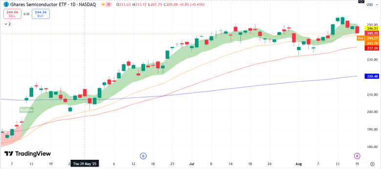 這就是爲什麼英偉達（NVDA）在業績後可能繼續回調的原因