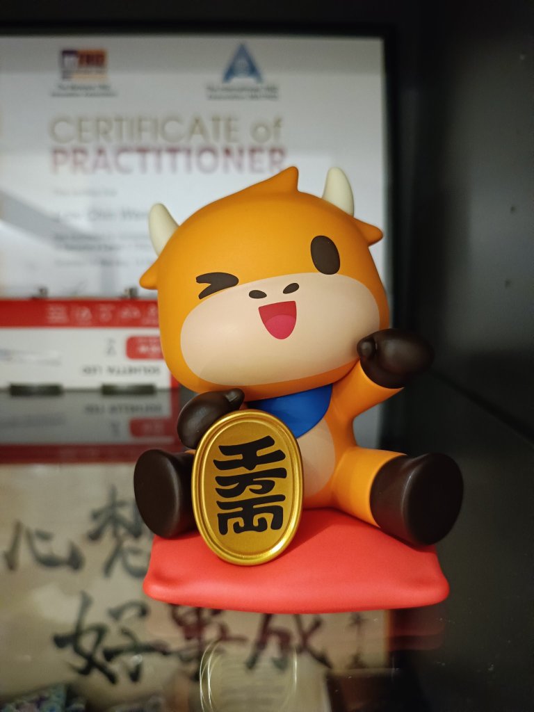 My 2nd moomoo merchandise figure