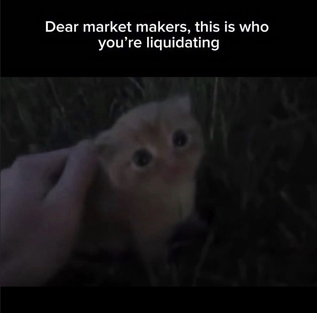Bitcoin (BTC.CC)$ aight time to send out the memes - moomoo Community