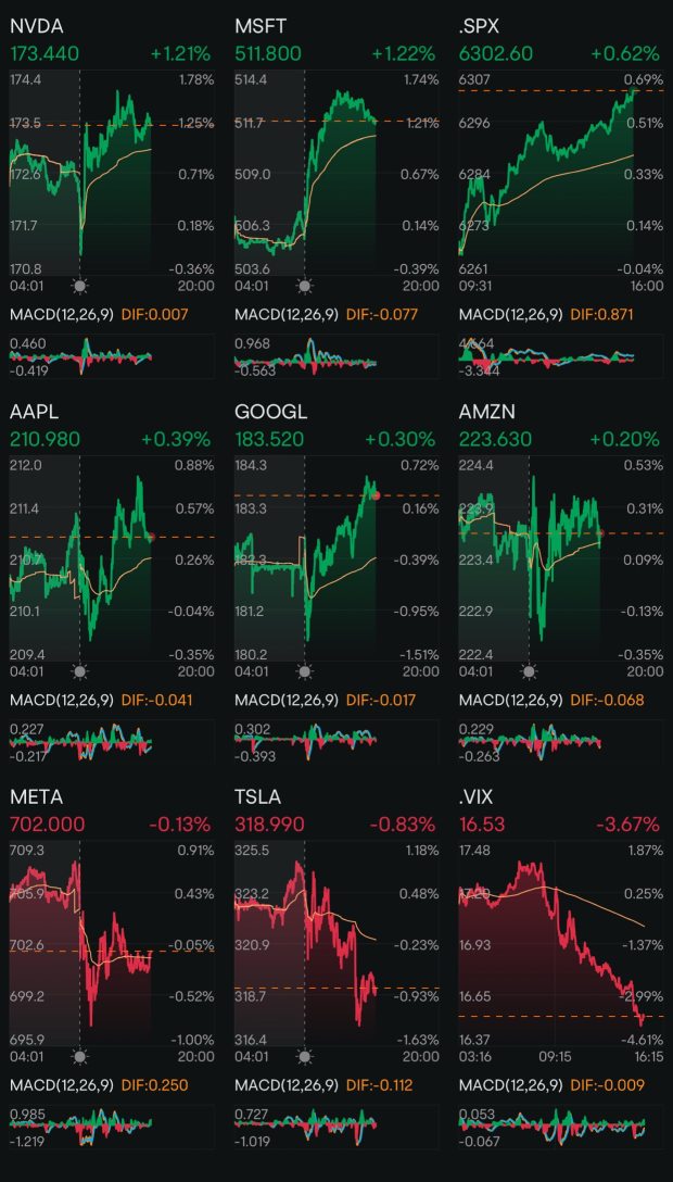 Day 206: Rate Cuts + Trump 2.0 Day 177