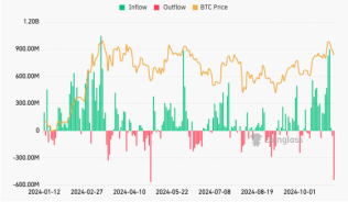 US Bitcoin ETFs notch second-largest daily outflow on eve of election