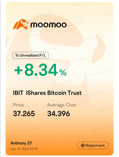 テスラをヘッジにする | TP ビットコイン 65K 🔥 ホールディンググーグル