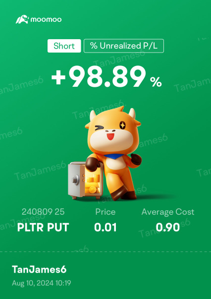 PLTR 的支持者