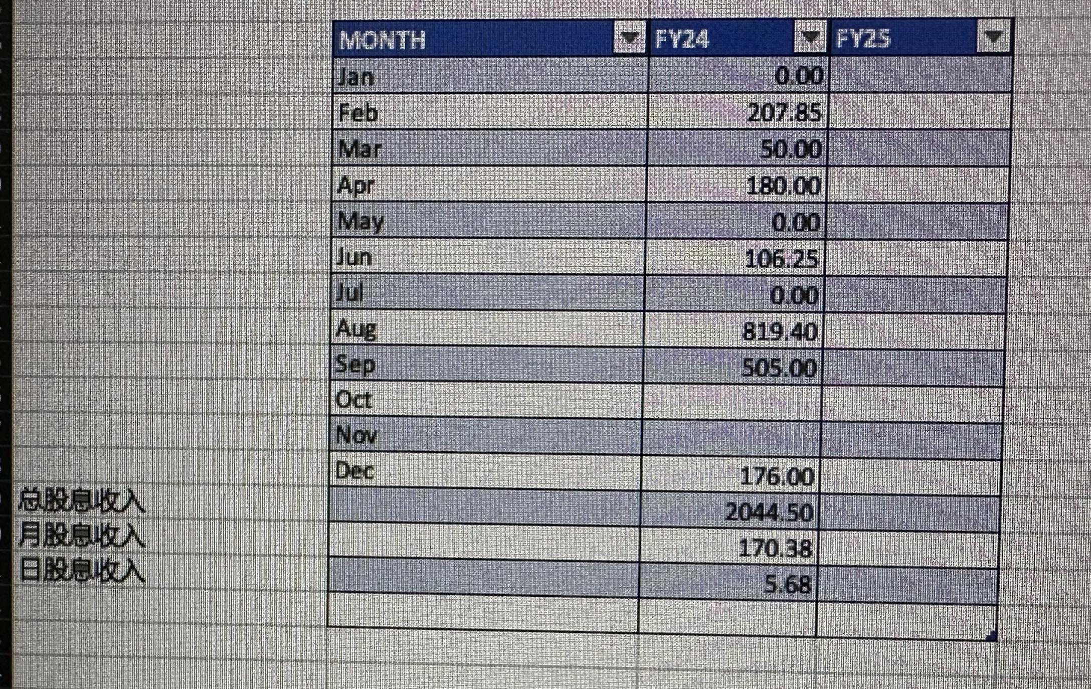 2024-Stock Dividend Investment (Year One)