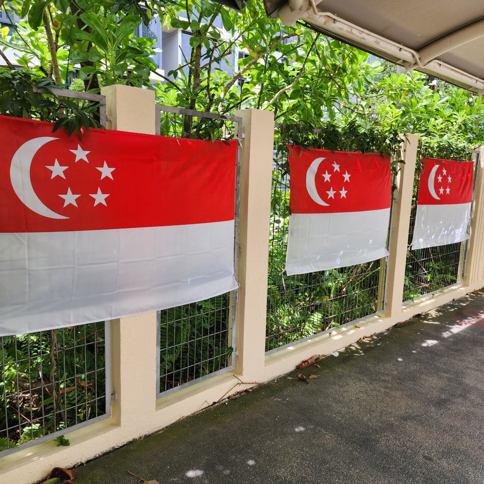 flags around the neighbourhood.  Happy 59 bday 🎂