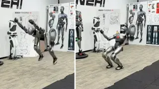 China's Engine AI unveils world's first humanoid robot that masters frontflip