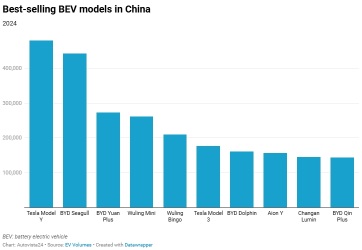 What were the best-selling EVs in China during 2024?