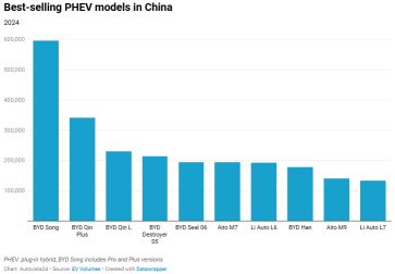 What were the best-selling EVs in China during 2024?