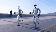 王星星的Unitree Robotics不太可能崛起
