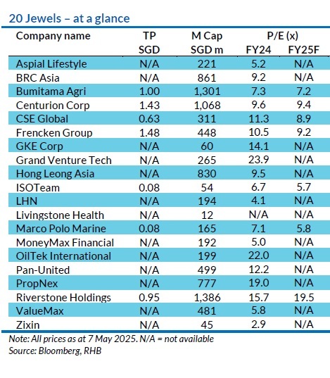 Shining Bright in 2025: RHB’s Top 20 Small-Cap Jewels Unveiled