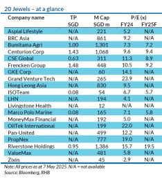 Shining Bright in 2025: RHB’s Top 20 Small-Cap Jewels Unveiled