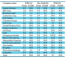 Shining Bright in 2025: RHB’s Top 20 Small-Cap Jewels Unveiled